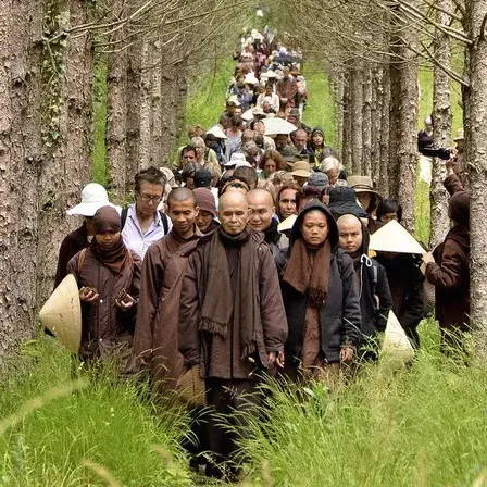 Plum village son ha 2014 legendary path